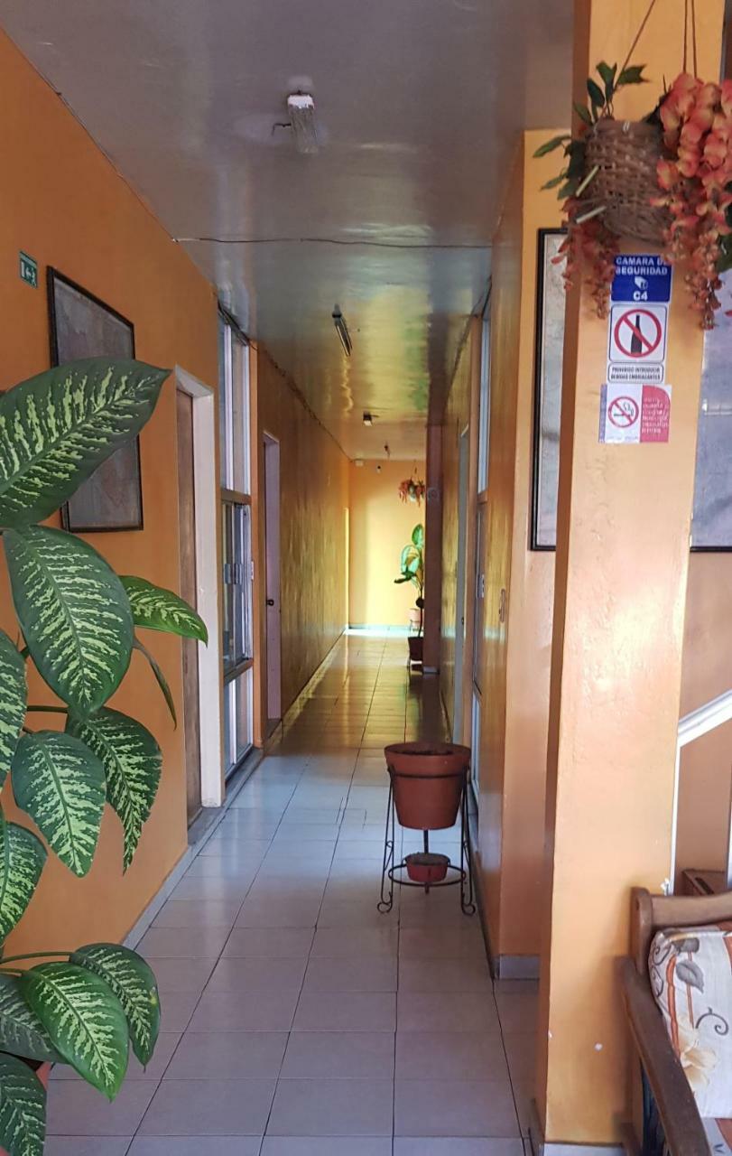 Hotel Don Jesus أوكدجوسلينس المظهر الخارجي الصورة